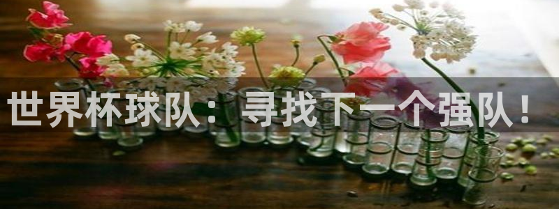 世界杯球队：世界杯球队：寻找下一个强队！