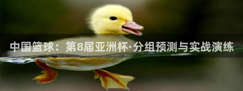 世界杯亚洲区预选赛赛程：中国篮球：第8届亚洲杯·分组预测与实战演练