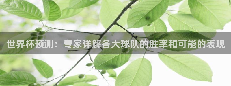 2026世亚预赛赛程表：世界杯预测：专家详解各大球队的胜率和可能的表现