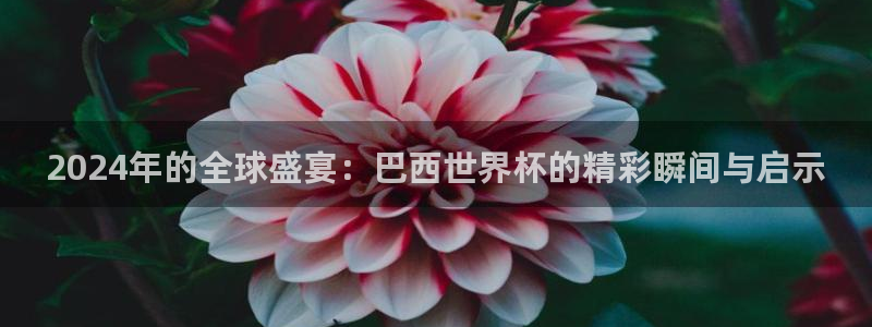 世界杯球队：2024年的全球盛宴：巴西世界杯的精彩瞬间与启示