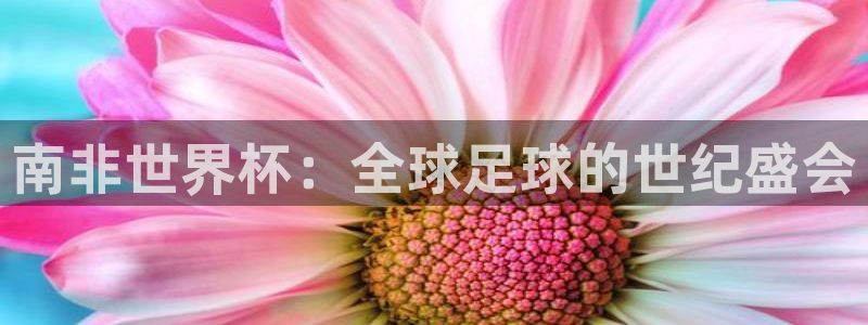世界杯2026预选赛：南非世界杯：全球足球的世纪盛会