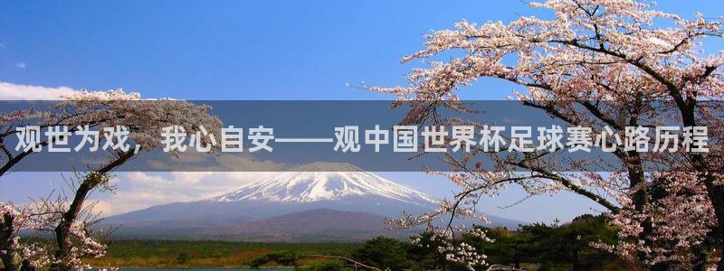 2026男足世界杯：观世为戏，我心自安——观中国世界杯足球赛心路历程